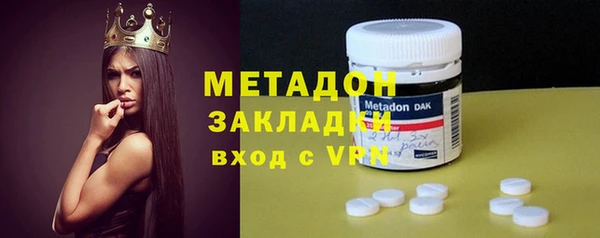 гашик Алексин