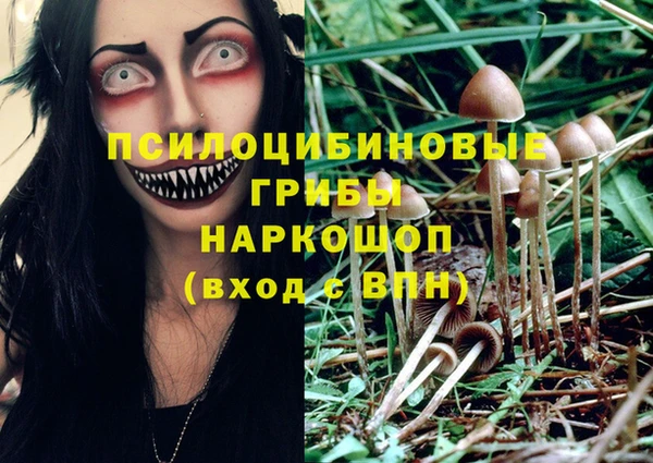 гашик Алексин
