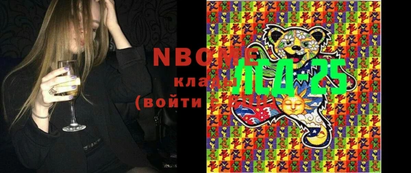 гашик Алексин