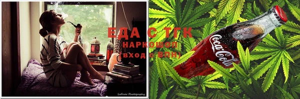крисы Абаза