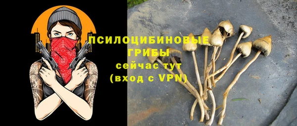 соль ск Абинск