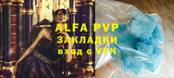 крисы Абаза