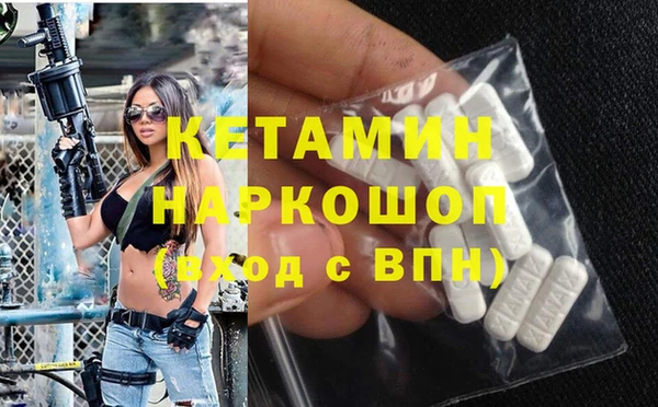 гашик Алексин