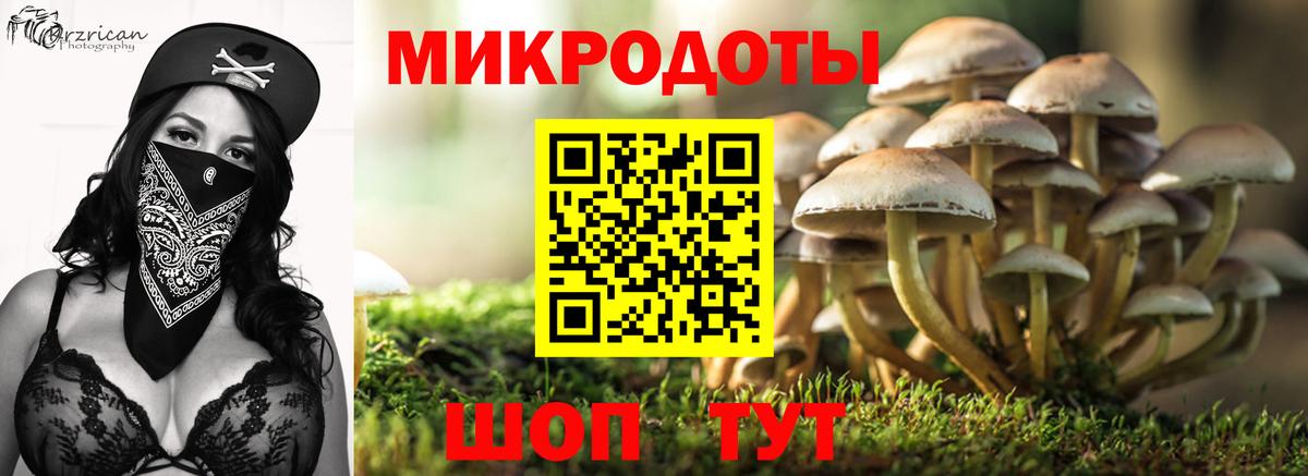 Галлюциногенные грибы MAGIC MUSHROOMS  Галлюциногенные грибы прущие грибы  Энгельс  Вход с VPN 
