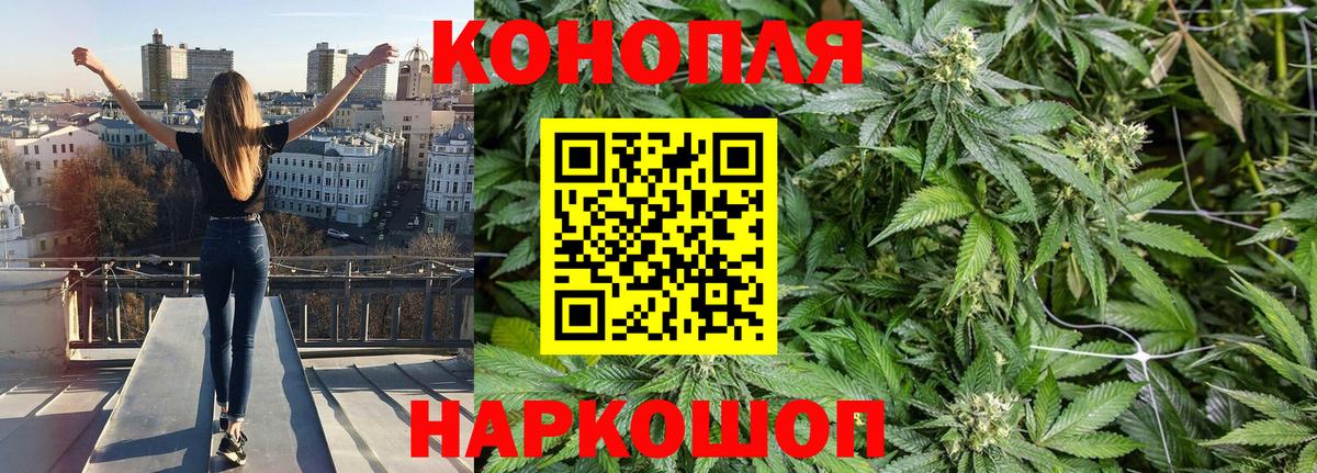 Шишки марихуана планчик Энгельс